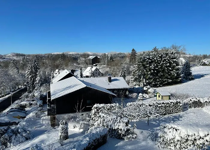 Daire Haus Panorama - Auszeit 1 Braunlage