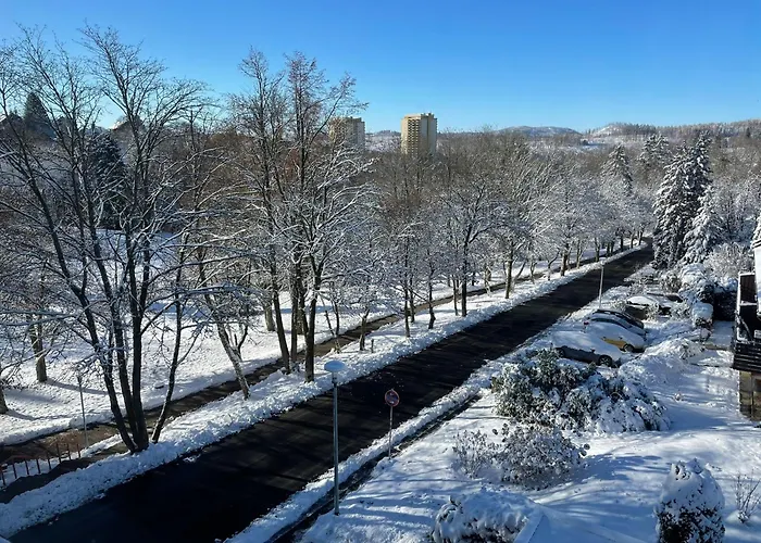 Daire Haus Panorama - Auszeit 1 Braunlage